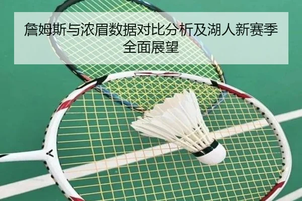 詹姆斯与浓眉数据对比分析及湖人新赛季全面展望（Yihao）